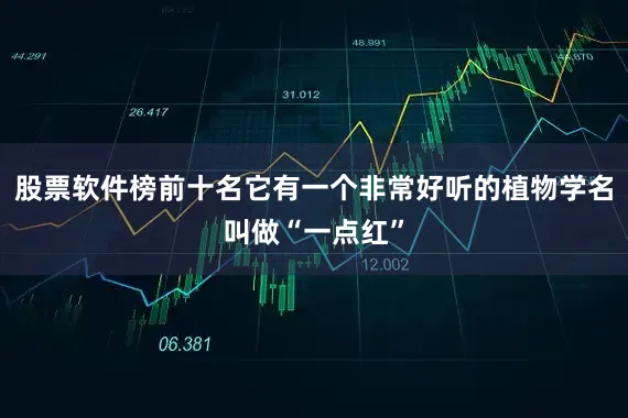股票软件榜前十名它有一个非常好听的植物学名叫做“一点红”
