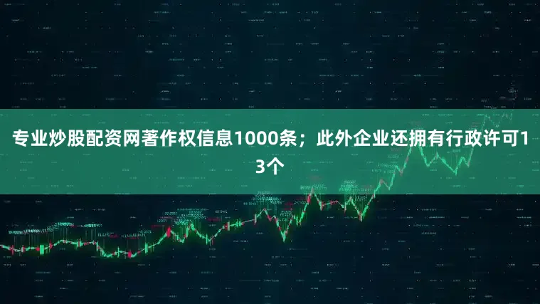 专业炒股配资网著作权信息1000条；此外企业还拥有行政许可13个